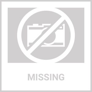 Saber Red Pepper Spray "Pink Case" 10 Oleoresin Capsaicin 2mil SHUs